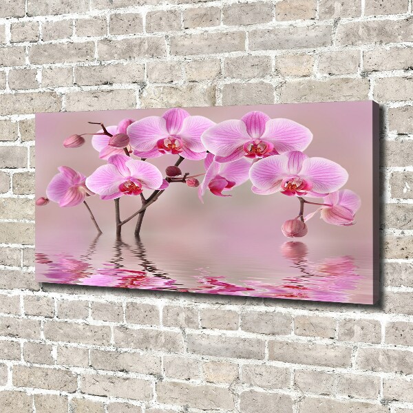 Canvas foto Roze orchidee