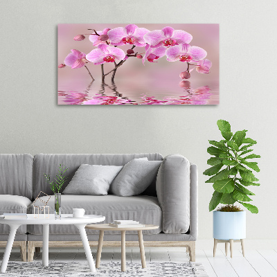 Canvas foto Roze orchidee