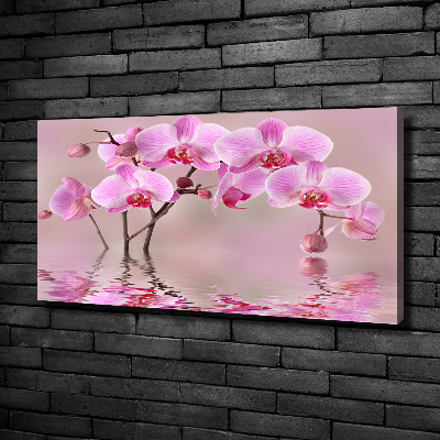 Canvas foto Roze orchidee