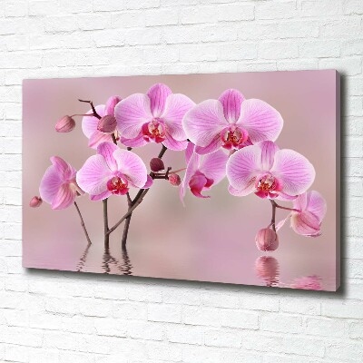 Canvas foto Roze orchidee
