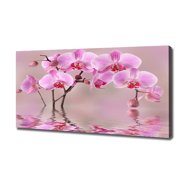 Canvas foto Roze orchidee
