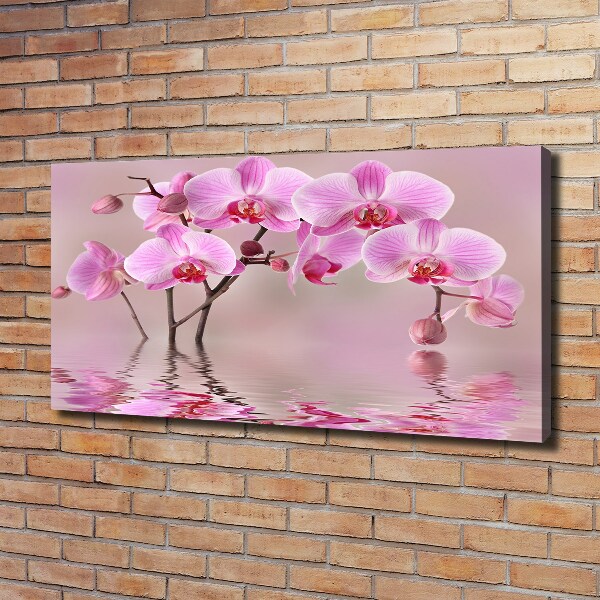 Canvas foto Roze orchidee