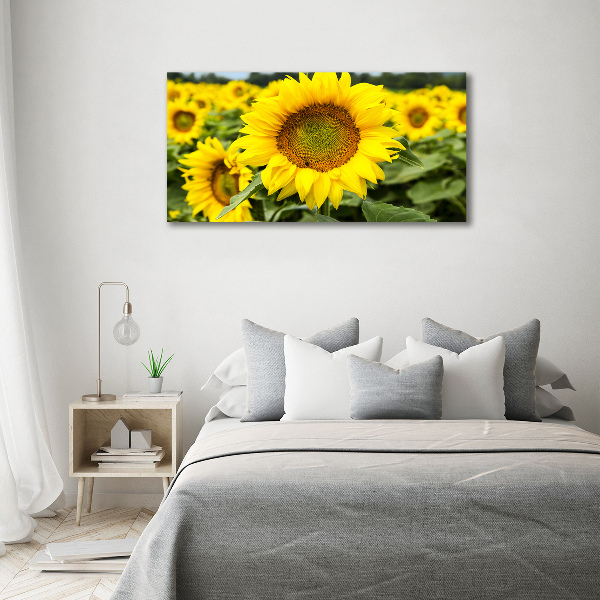 Canvas schilderij Een veld met zonnebloemen