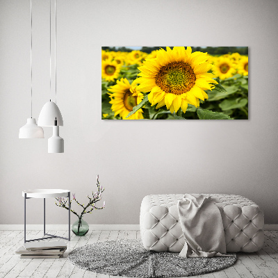 Canvas schilderij Een veld met zonnebloemen
