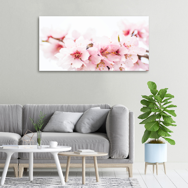 Schilderij op canvas Kersenbloesems