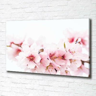 Schilderij op canvas Kersenbloesems