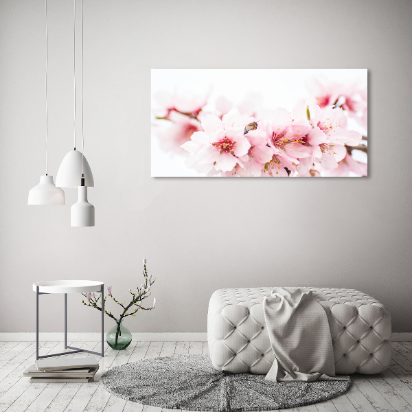 Schilderij op canvas Kersenbloesems