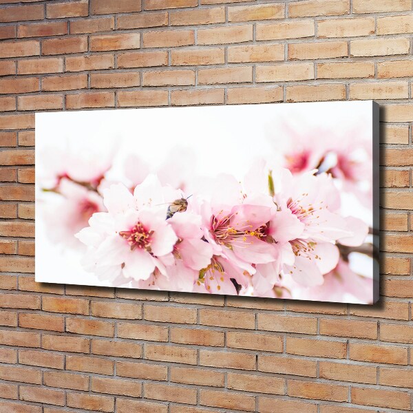 Schilderij op canvas Kersenbloesems