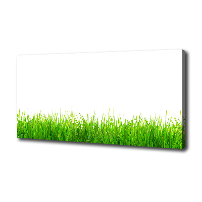 Foto canvas Gras