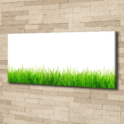 Foto canvas Gras