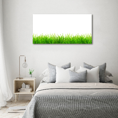 Foto canvas Gras