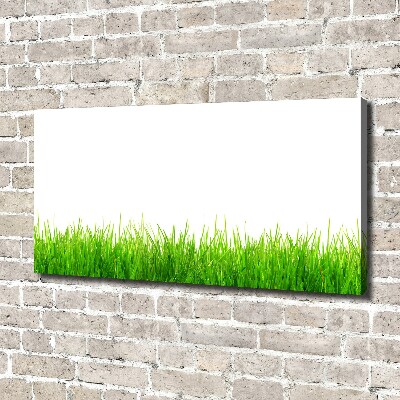 Foto canvas Gras