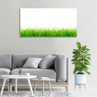 Foto canvas Gras