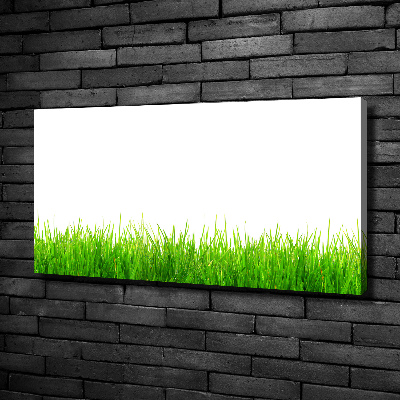 Foto canvas Gras