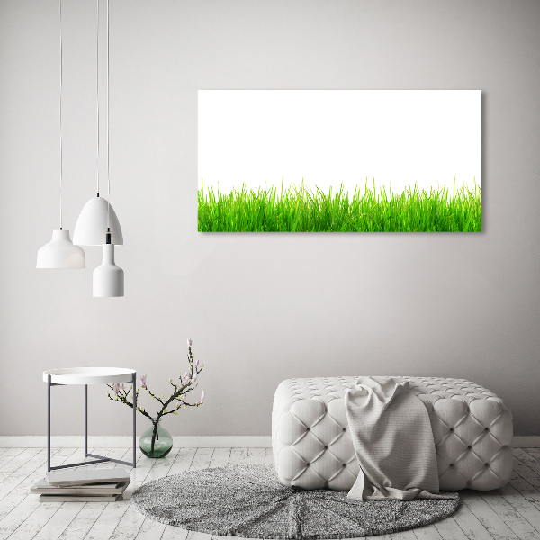 Foto canvas Gras
