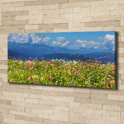 Canvas schilderij Weide in de bergen