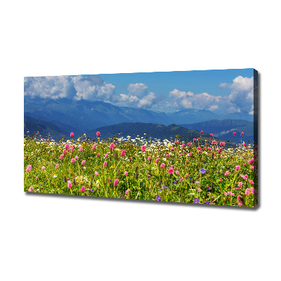 Canvas schilderij Weide in de bergen