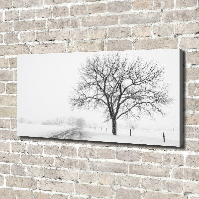 Schilderij op canvas Boom in de winter