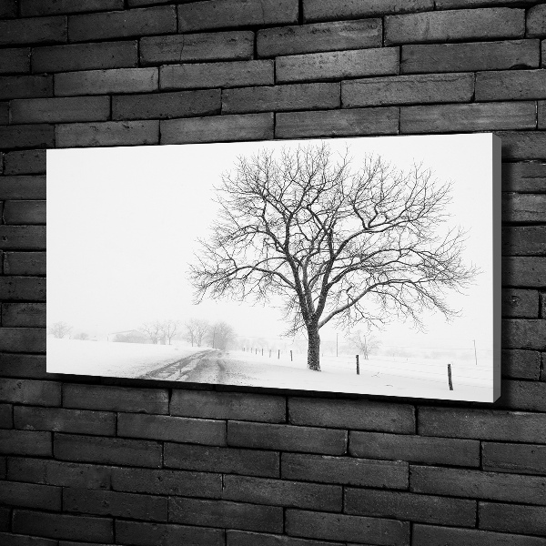 Schilderij op canvas Boom in de winter