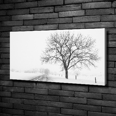 Schilderij op canvas Boom in de winter