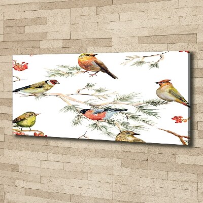 Foto op canvas Bosvogels en planten