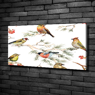 Foto op canvas Bosvogels en planten
