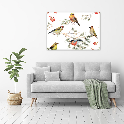 Foto op canvas Bosvogels en planten