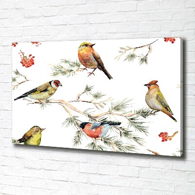 Foto op canvas Bosvogels en planten