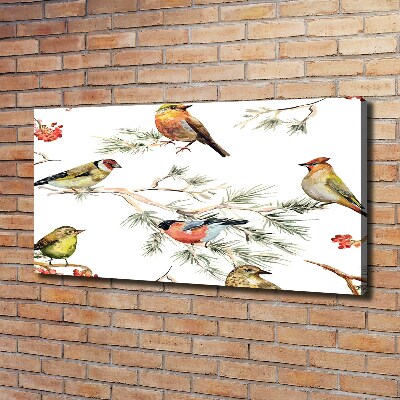 Foto op canvas Bosvogels en planten