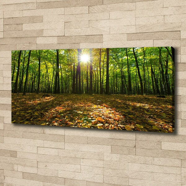 Canvas foto Woud