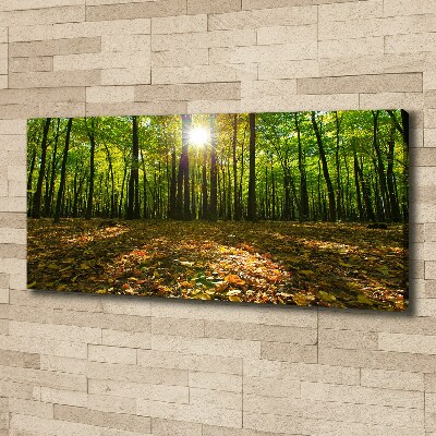 Canvas foto Woud