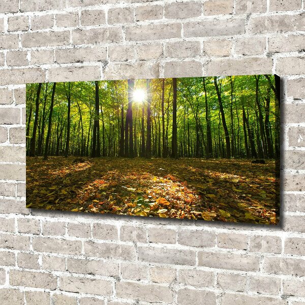 Canvas foto Woud