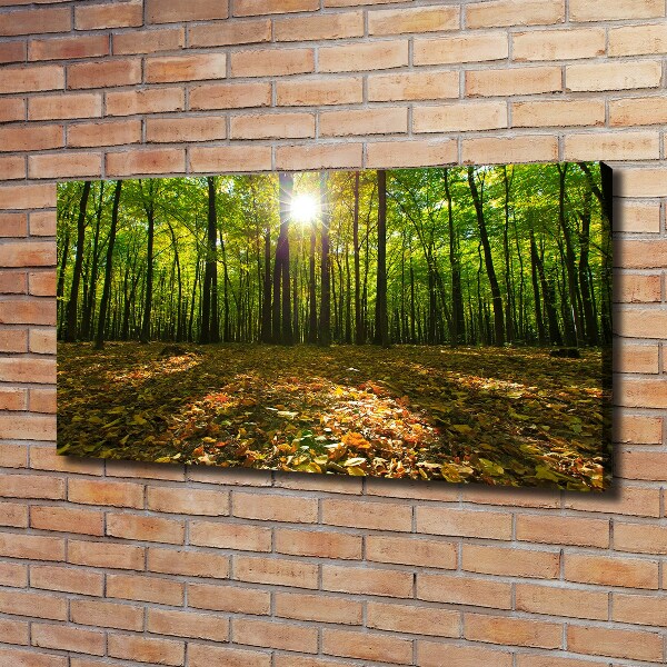 Canvas foto Woud
