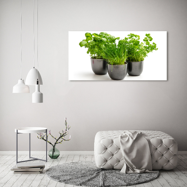 Canvas schilderij Kruiden in potten