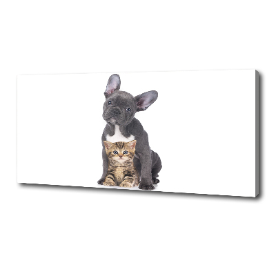 Canvas foto Hond en kat