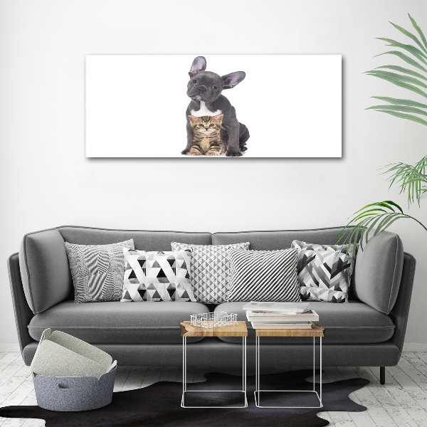 Canvas foto Hond en kat
