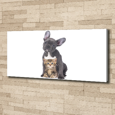 Canvas foto Hond en kat
