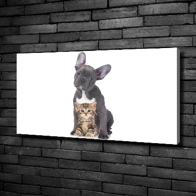 Canvas foto Hond en kat
