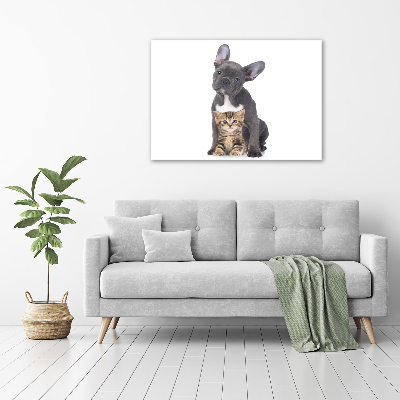 Canvas foto Hond en kat