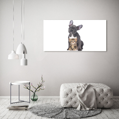 Canvas foto Hond en kat