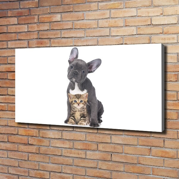 Canvas foto Hond en kat
