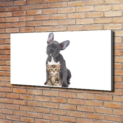 Canvas foto Hond en kat