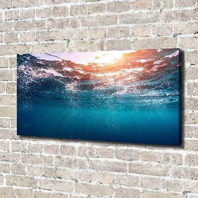 Foto canvas Onderwaterwereld