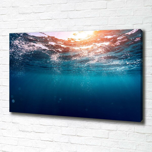 Foto canvas Onderwaterwereld