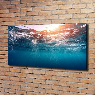 Foto canvas Onderwaterwereld