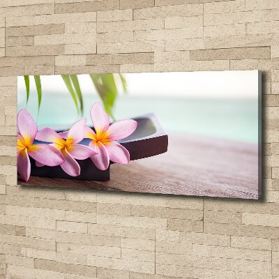 Canvas foto Plumeria