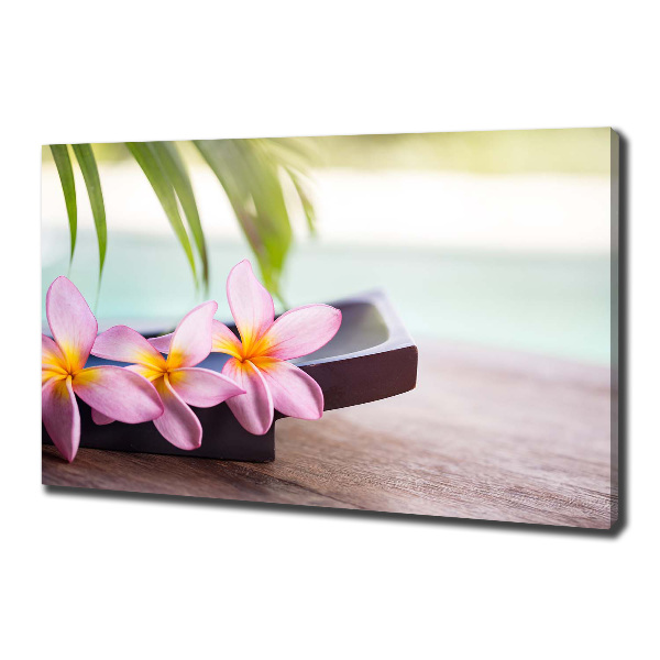 Canvas foto Plumeria