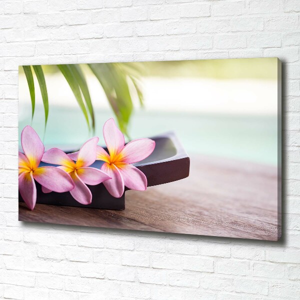 Canvas foto Plumeria