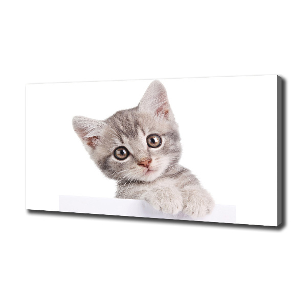 Canvas schilderij Grijze kat