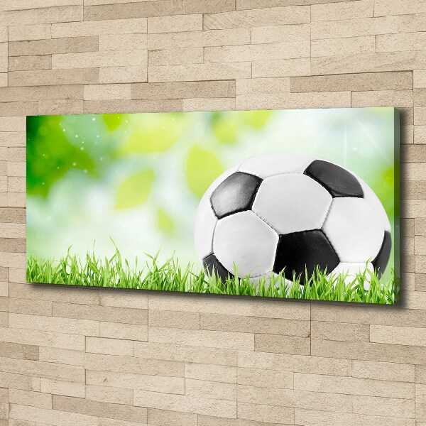 Canvas schilderij Voetbal